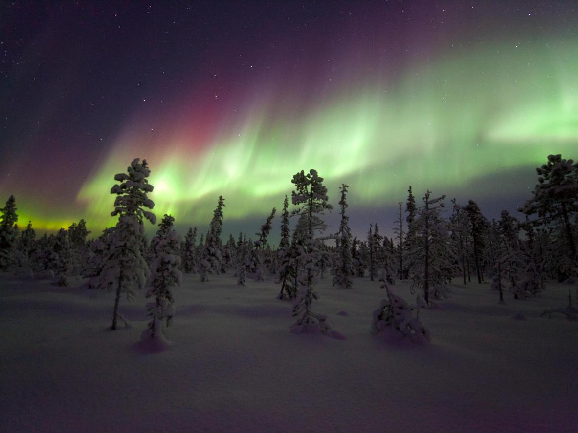 追寻北极光,追逐北极光歌曲