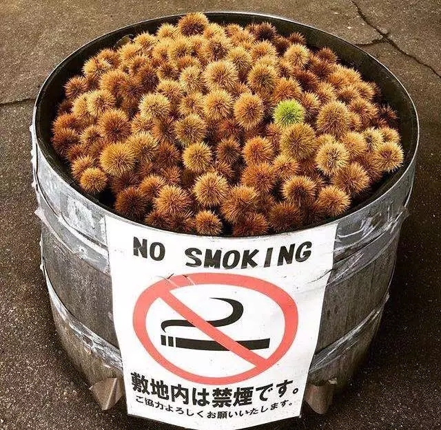 在日本有哪些标志,日本的标志大全