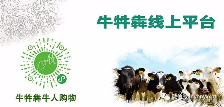 牧场生产管理方法,范围化牧场饲养管理标准