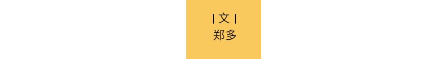 张柏芝，算是毁了