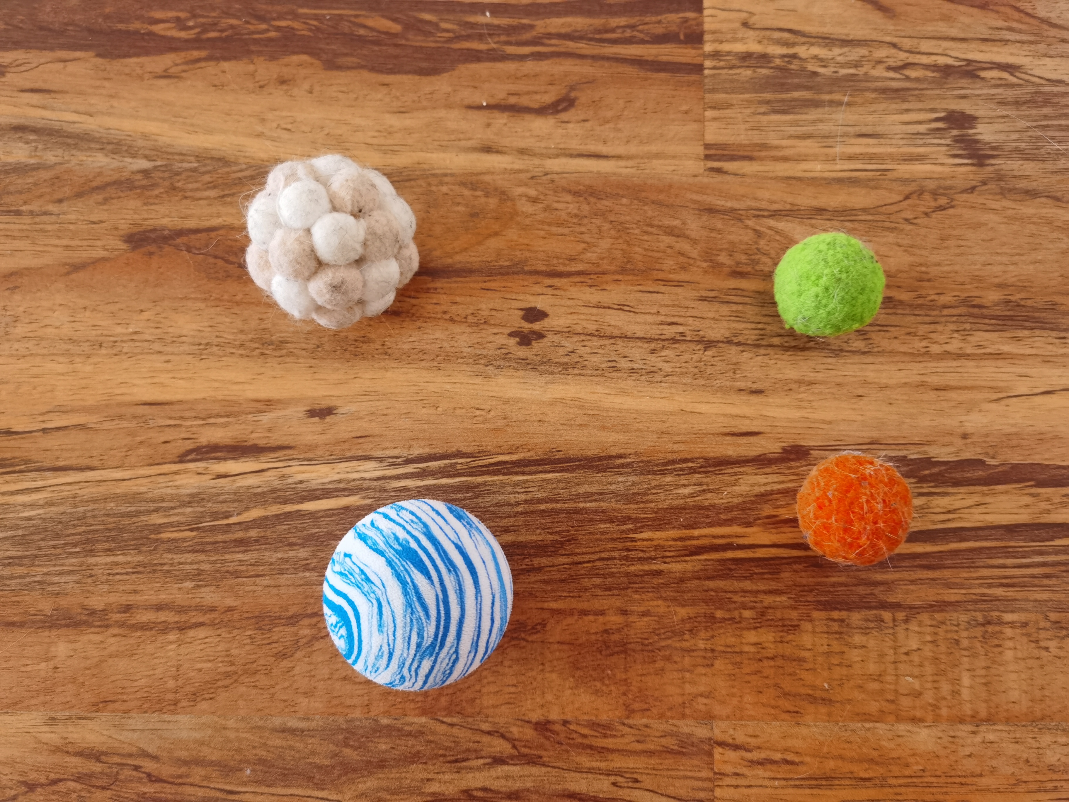 养猫必买物品 (养猫用品清单推荐)