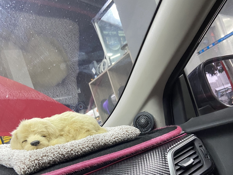 完美改装新蓝鸟,蓝鸟音响改装方案图