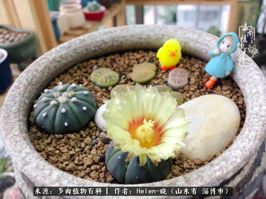 人到中年温暖如初,人到中年岁月静好