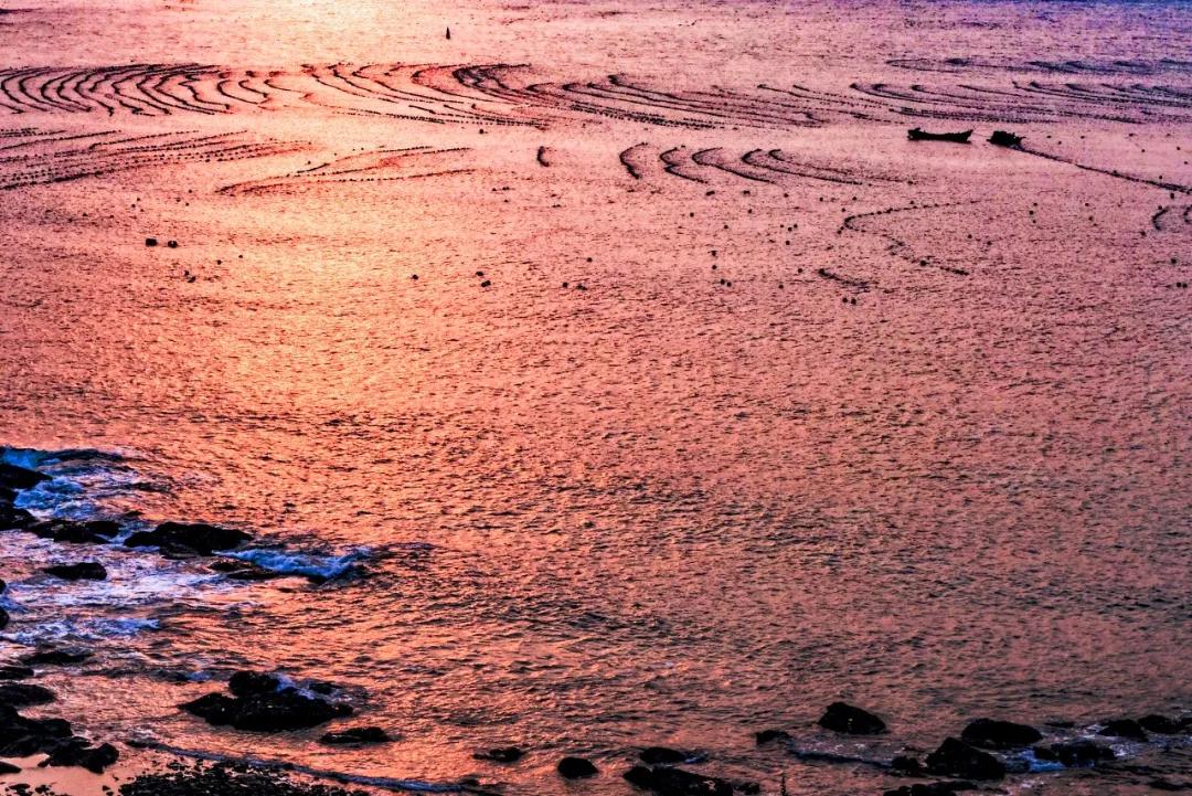 三亚和厦门哪一个更值得去旅游,三亚和厦门哪个更值得去旅游