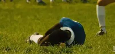 尊重并信任自己的孩子,对孩子的信任是对自己最好的
