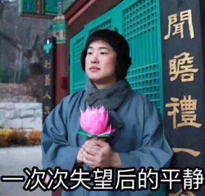 双十一喵糖活动什么时候开始,双十一最新活动喵糖攻略