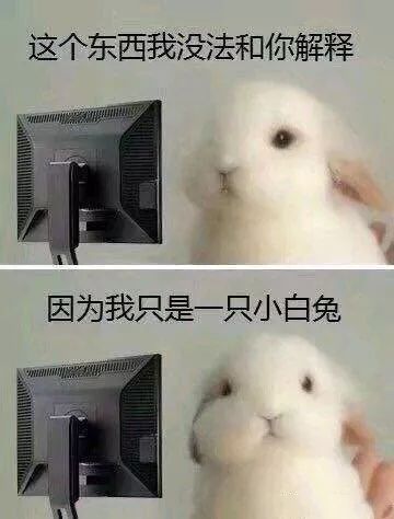 端午节细数那些年抢过的“优衣库们”