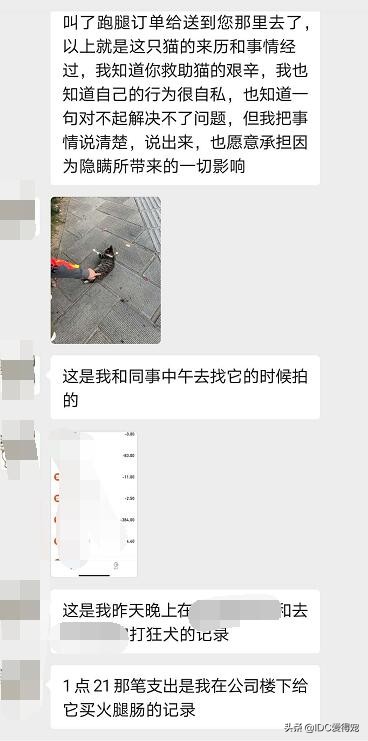 美团外卖员送到缅甸救人,美团外卖骑手救宠物