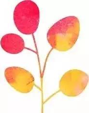 这些是最容易被忽略的护肤死角！你都知道吗？