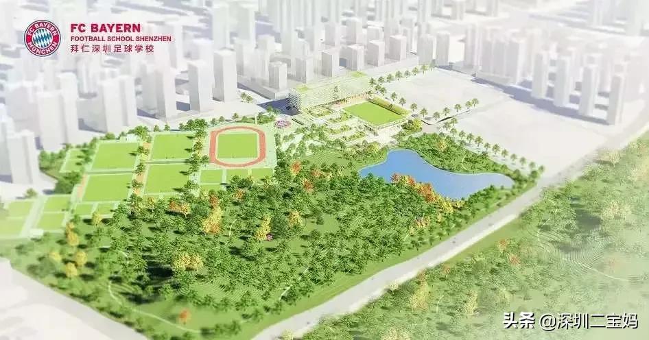 深圳2021年新增公办普高有哪些,2021深圳新增的公办高中
