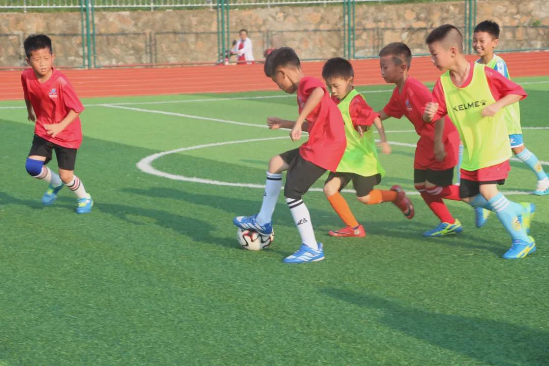 信阳维德青训基地,维德青少年培训