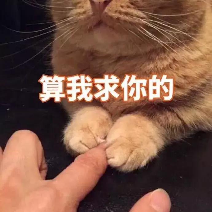 群魔乱舞啊！这届港姐颜值说断崖式下跌真不夸张……
