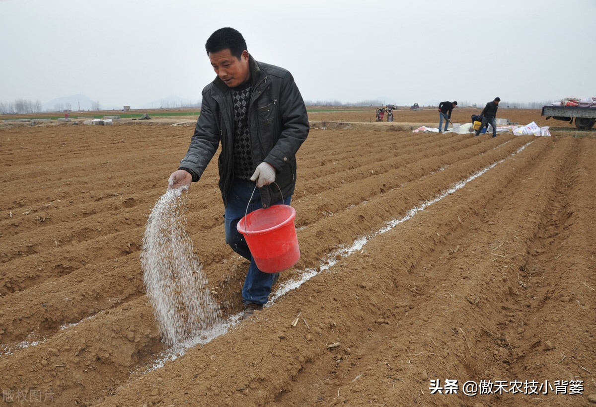硫酸钾复合肥跟复合肥什么区别,硫酸钾复合肥与硫酸钾型区别