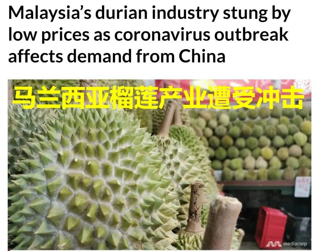 龙虾没人吃、LV没人买……中国人再不出门，各国旅游业都要垮了