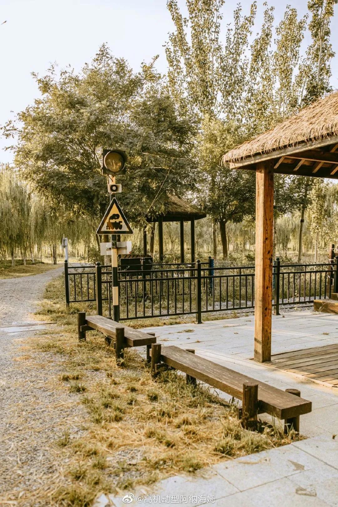 天津十大自然风景区,天津九山顶自然风景区赏秋