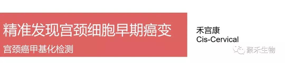 公司｜分子诊断——聚禾生物