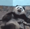 考研到底要不要报辅导班,考研到底要不要报