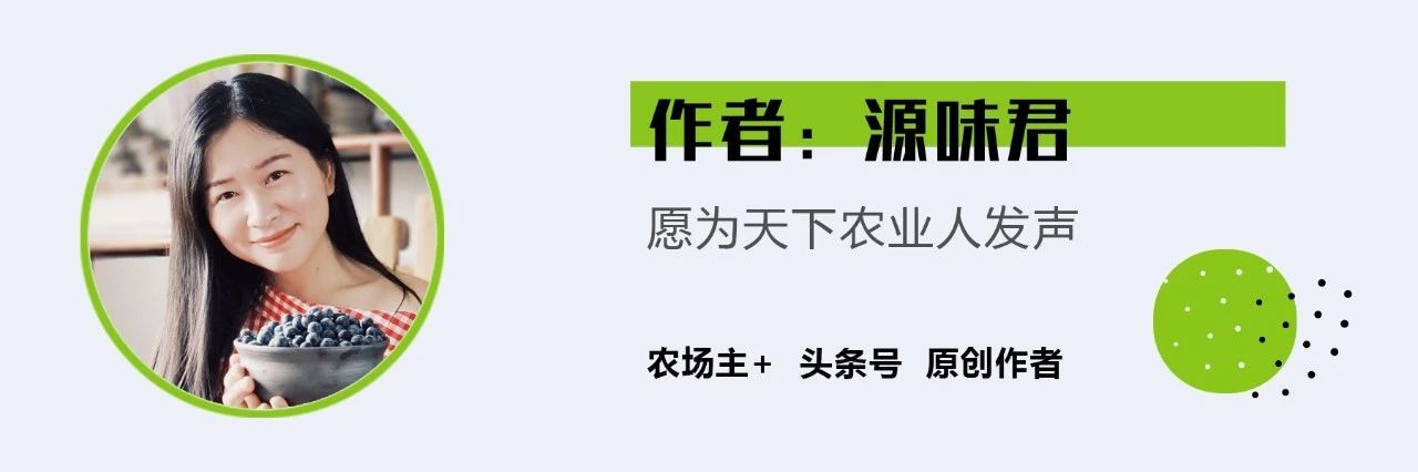 纸上种菜怎么赚钱,纸上种菜手把手教你
