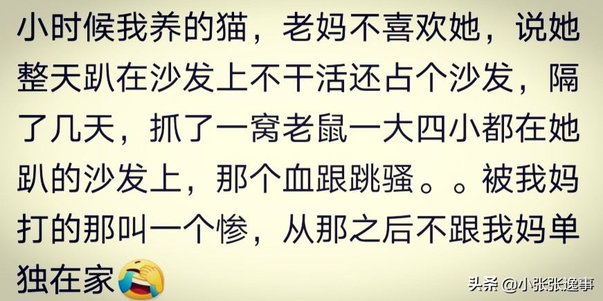 狗狗太肥了怎么才能给它减肥呢,爷爷说狗狗太胖了要减肥