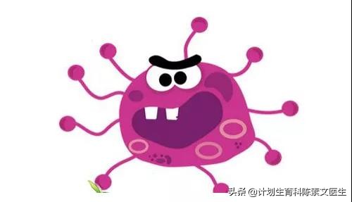 流产死胎做什么检查,为了预防胎儿畸形可以做哪些检查