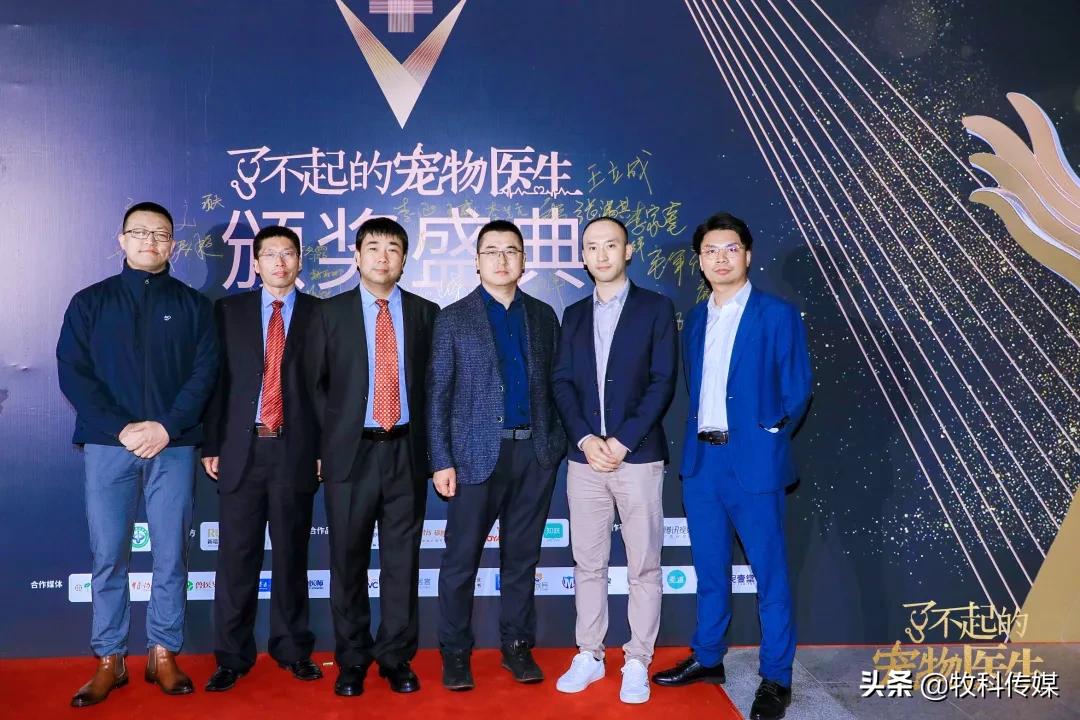 初心如磐笃行致远中国人寿,初心如磐笃行致远军训落幕篇