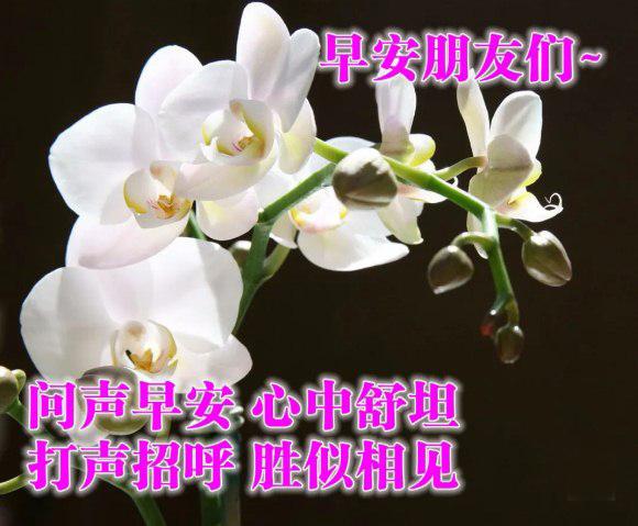 星期一到星期日的早安问候语图片,星期三最新早安问候图片