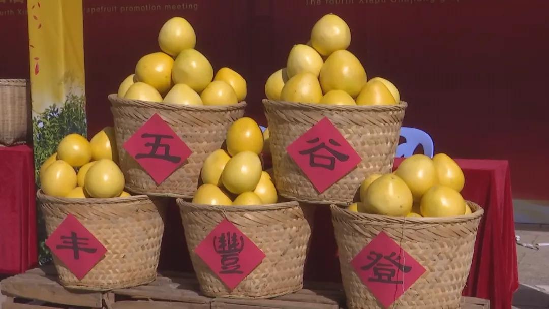 来啦高清视频完整版,来啦原版视频完整版