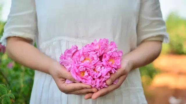 丹泽欧雅,丹泽欧雅富勒烯多肽焕颜面膜