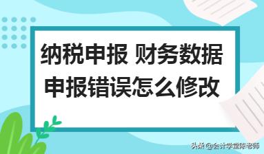个人所得税app申报错误怎么更改,纳税申报表错误可以更正几次