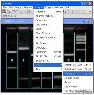 黄色和绿色如何用imagej分析,imagej图像分析教程