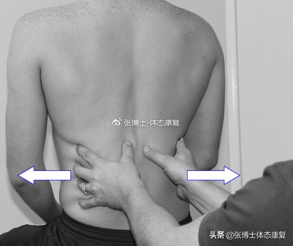 评价呼吸功能指标,如何评价呼吸系统的机能