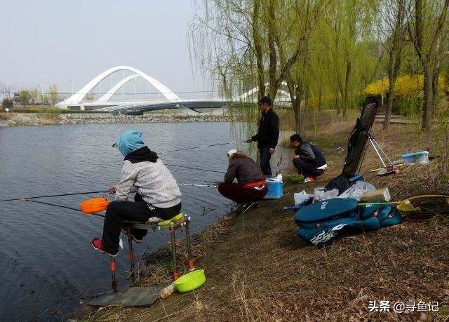 水库养殖鱼用什么饵钓,人工养殖鱼塘用什么饵料钓鲤鱼好