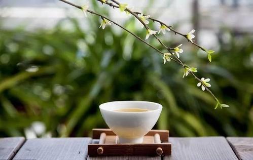 喝茶是一种修行，是一种修养，是一种气质，更是一种美好的境界
