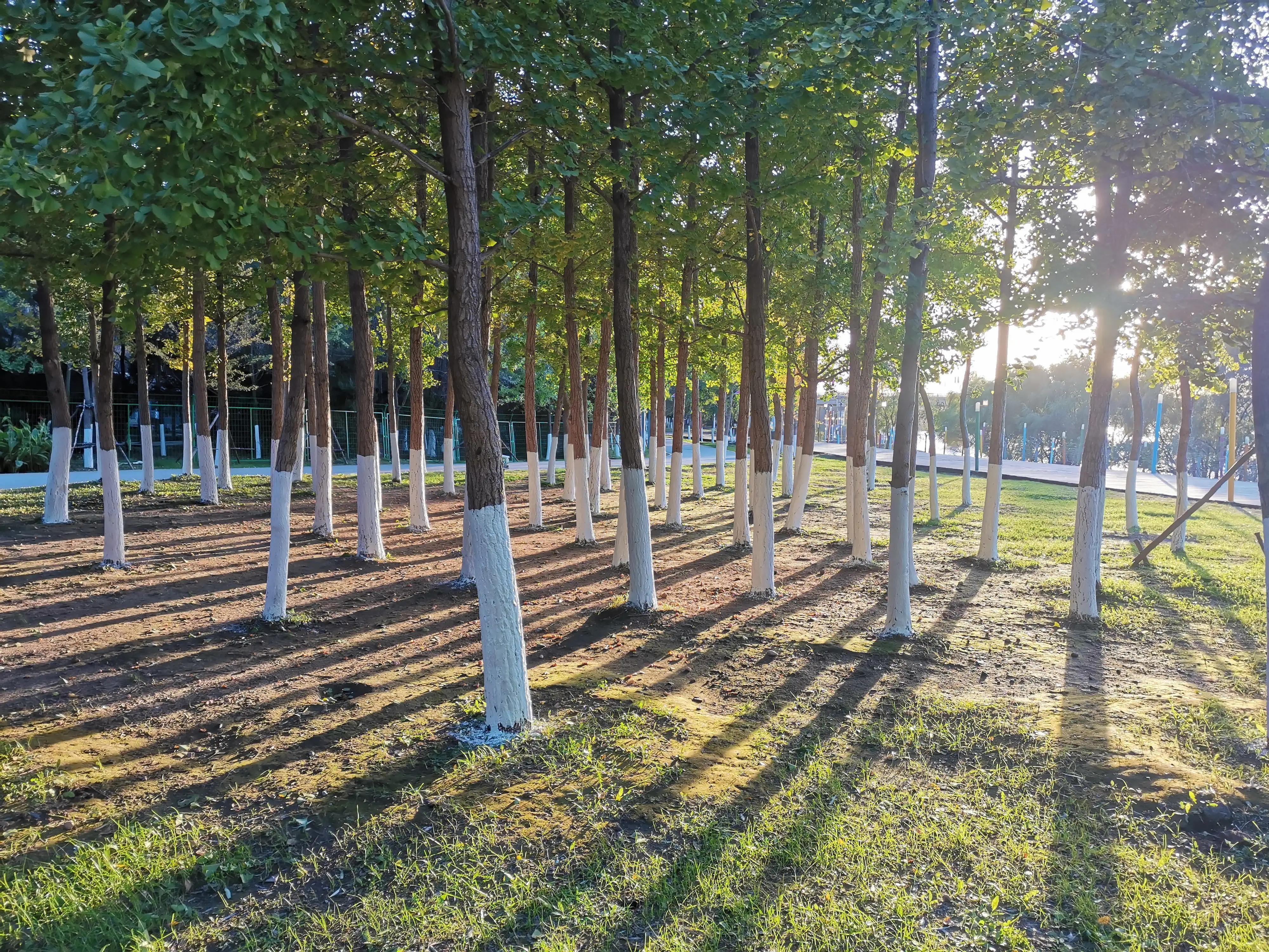 沈阳长白岛森林公园旅游攻略,沈阳长白岛森林公园冬天瀑布