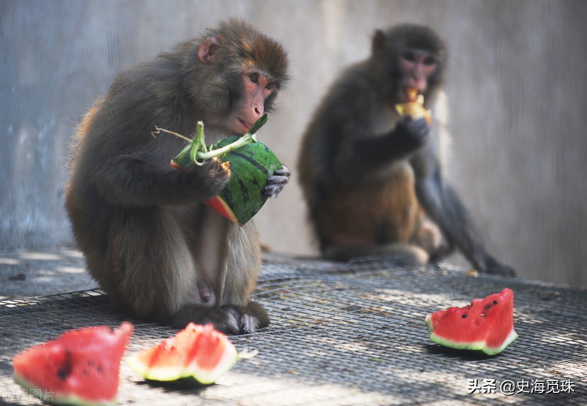 一个女人的日本推理小说,日本推理小说小女孩