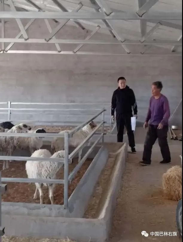 哈日根图嘎查,内蒙古巴林右旗西拉沐沦苏木书记