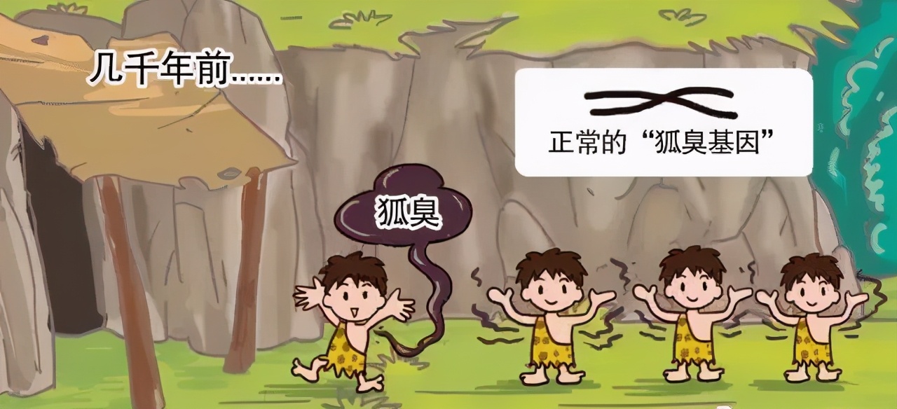狐臭是怎么引起的,狐臭是怎么引起的啊