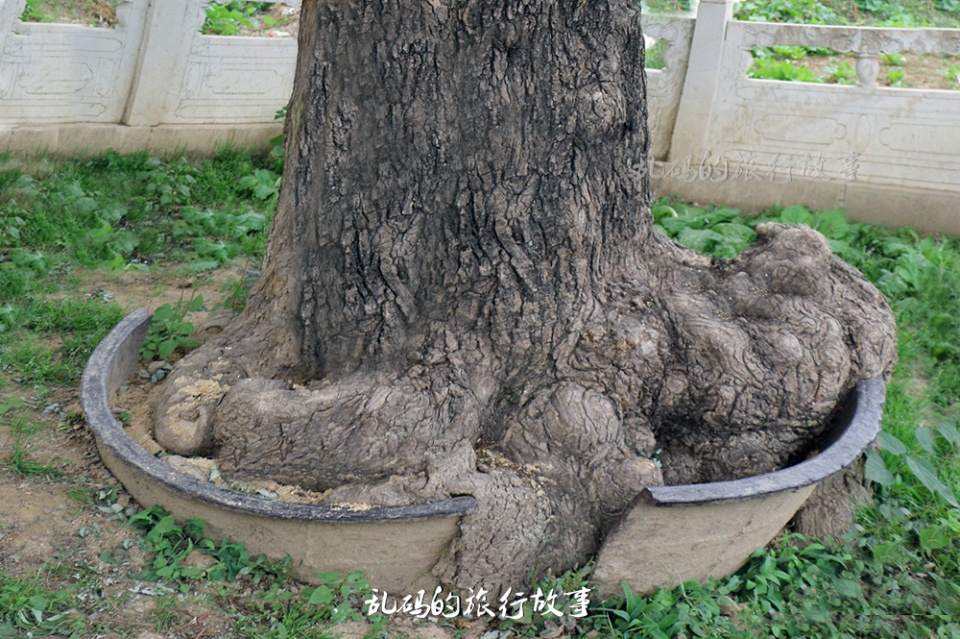 与少林寺同等级寺庙,与白马寺少林寺齐名的三大寺
