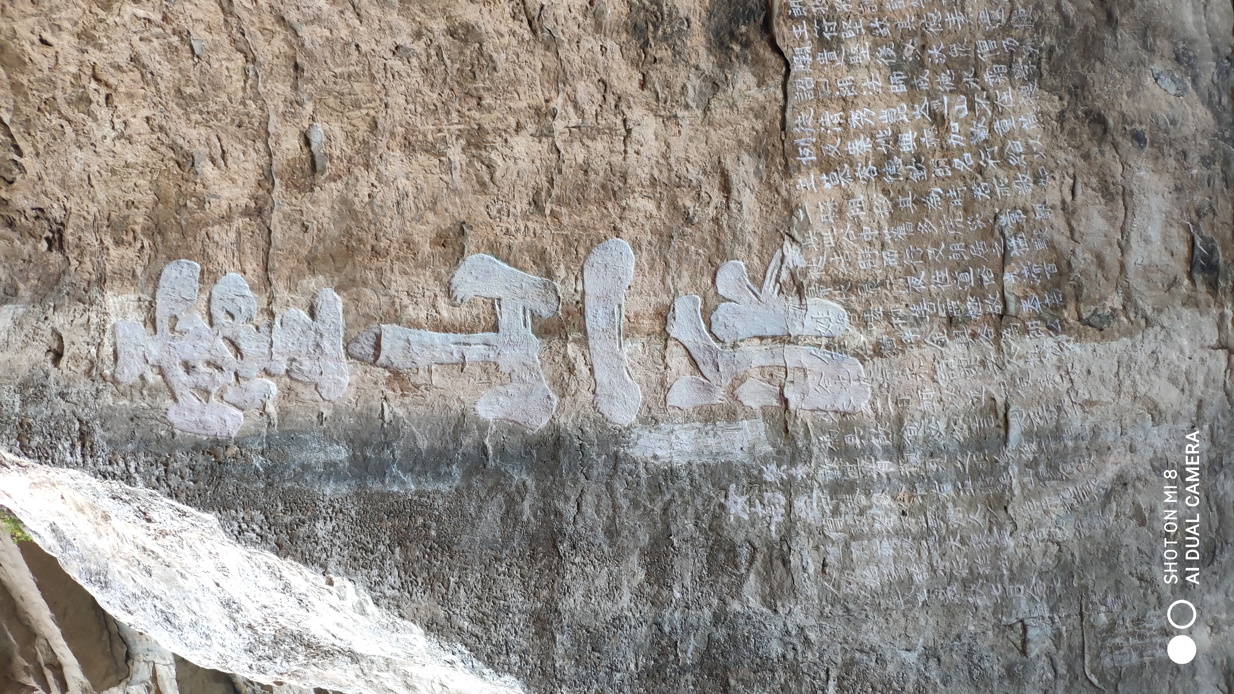 去济南灵岩寺什么必看,济南灵岩寺神树
