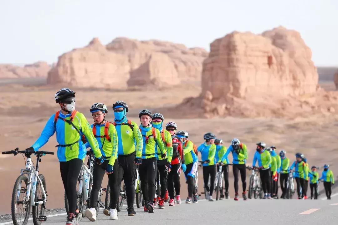 博实乐碧桂园国际学校学费多少,胡润百学国际学校2023全榜排名