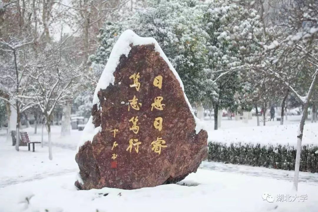 2023年考研报考人数继续飙升,考研关注