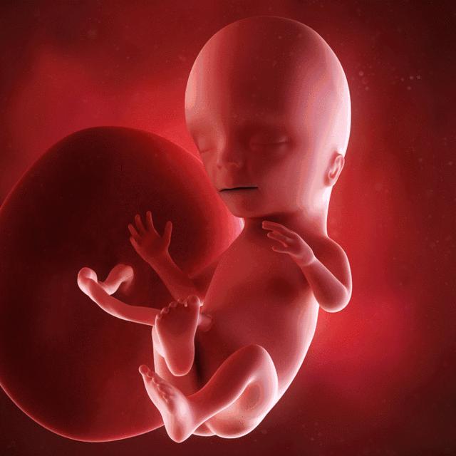 怀孕肚子咕噜噜的响宝宝能听到吗,怀孕肚子响是宝宝在打嗝吗