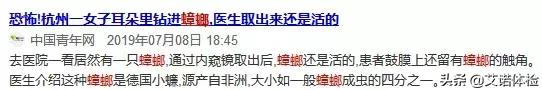 一只它=40多种细菌！你家也藏了有，衣服食物千万别沾上