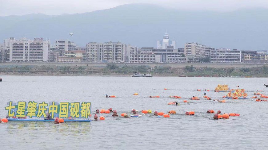 广东省医疗服务项目价格调整,怎么查肇庆市每个医院的收费标准