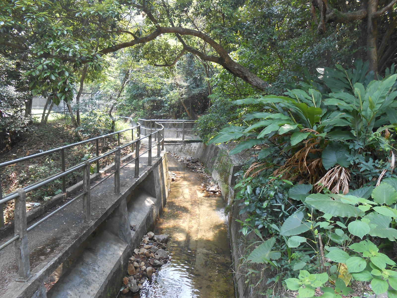 环香港公路车骑行路线,环香港岛跑一圈有多长