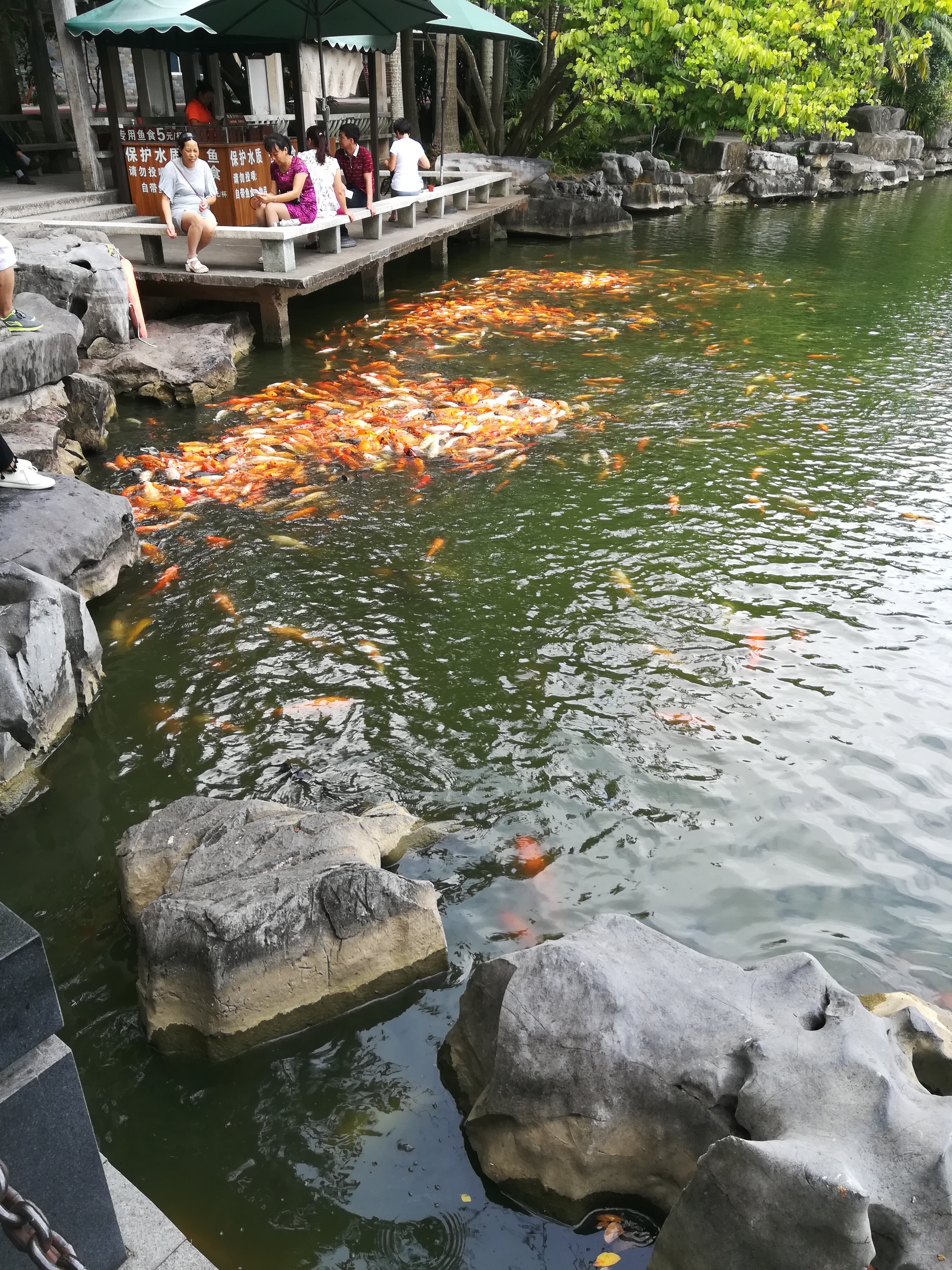 青秀山奇幻之旅,南宁2022奇妙之旅