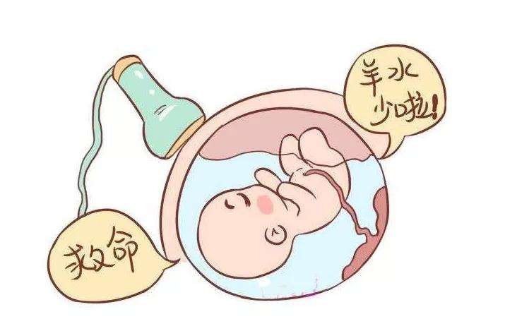 羊水少怎么办多喝椰子水,羊水多和喝椰青有关系吗