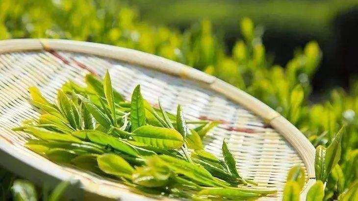 茶行业如何利用好互联网,茶市场互联网化