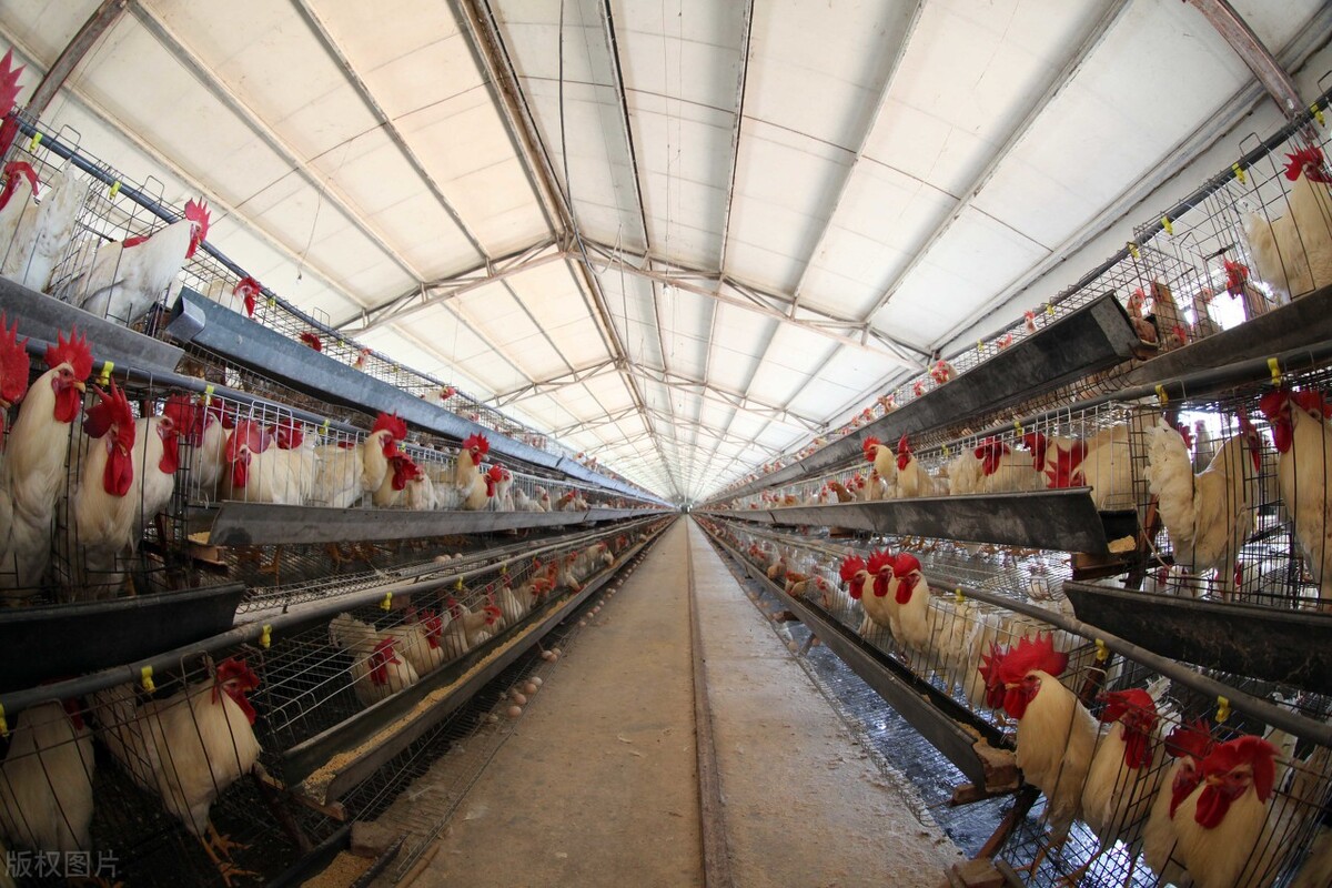 2024年湖北省重点项目清单黄冈,湖北黄冈公告