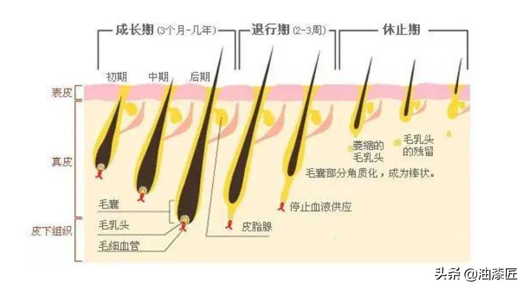 夏季脱毛的旺季来了,夏季来临脱毛